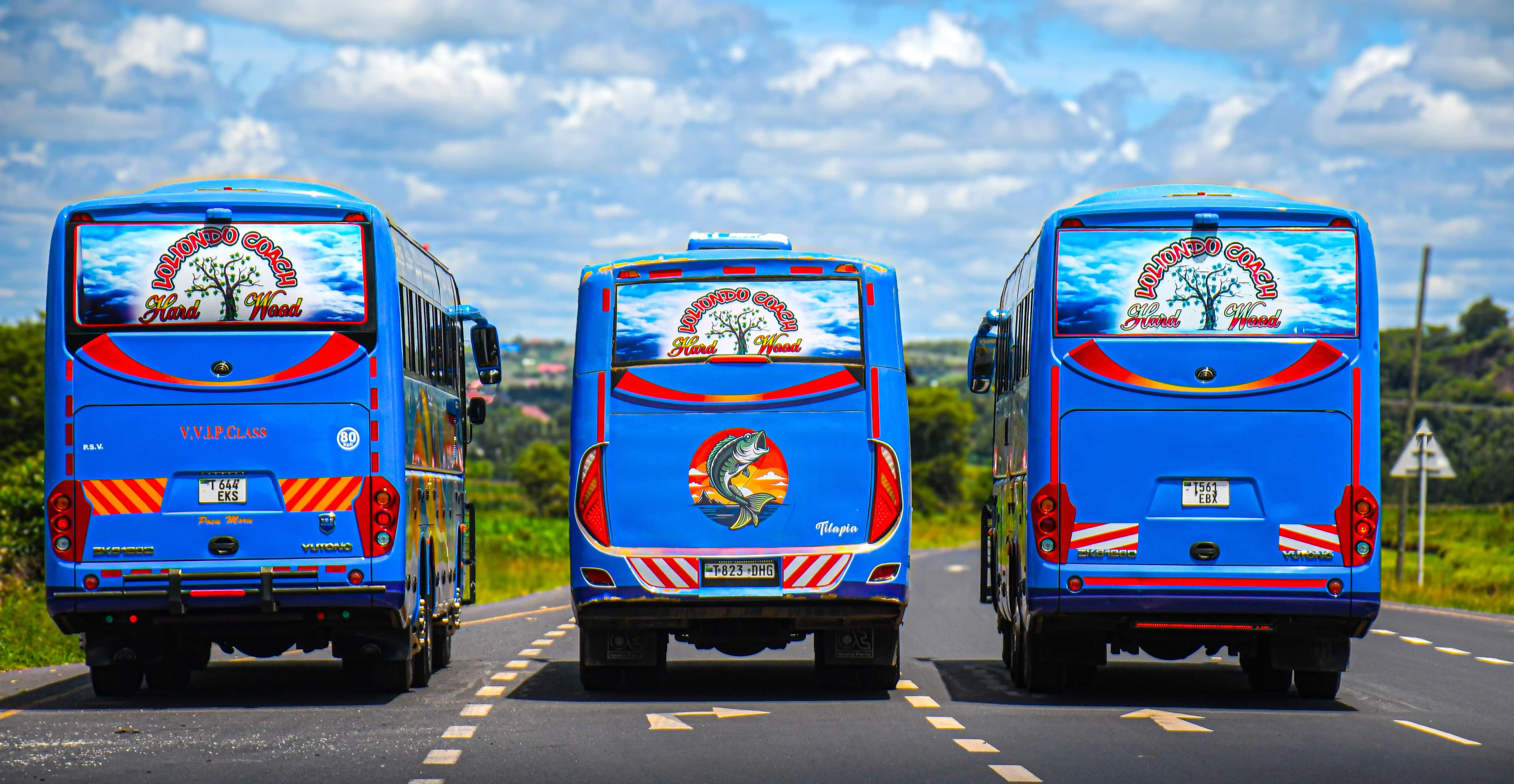 Loliondo Coach Gallery